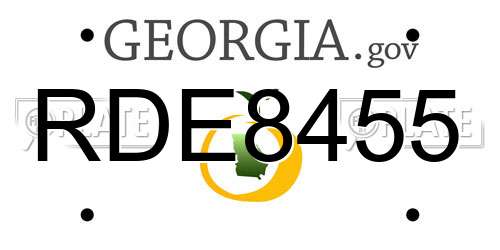 RDE8455 Georgia License Plate
