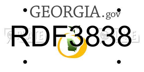 RDF3838 Georgia License Plate