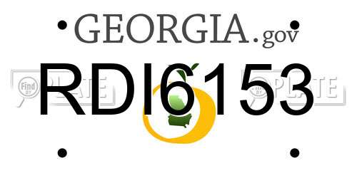 RDI6153 Georgia License Plate