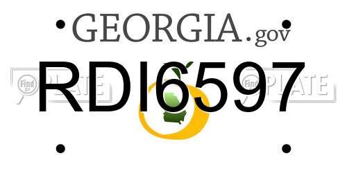 RDI6597 Georgia License Plate