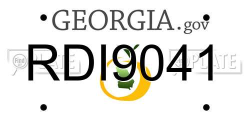 RDI9041 Georgia License Plate