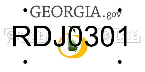 RDJ0301 Georgia License Plate