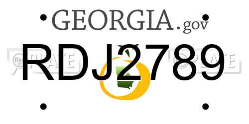 RDJ2789 Georgia License Plate