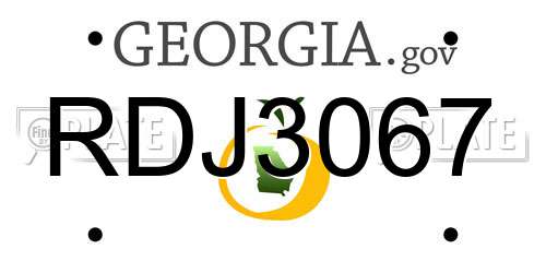 RDJ3067 Georgia License Plate