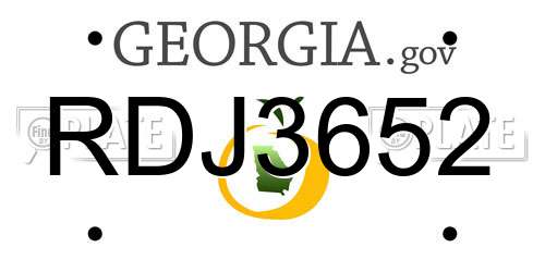 RDJ3652 Georgia License Plate