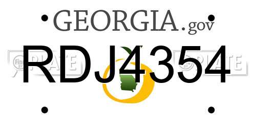 RDJ4354 Georgia License Plate