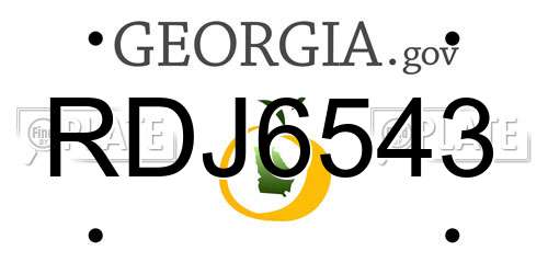 RDJ6543 Georgia License Plate