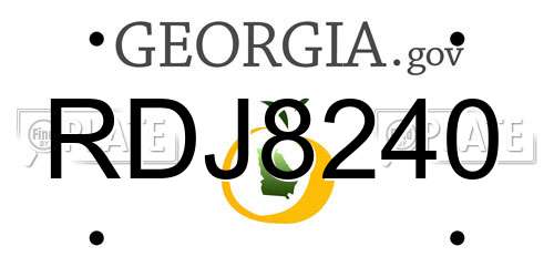 RDJ8240 Georgia License Plate