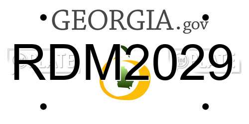 RDM2029 Georgia License Plate