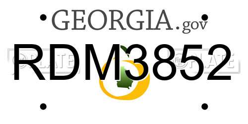 RDM3852 Georgia License Plate