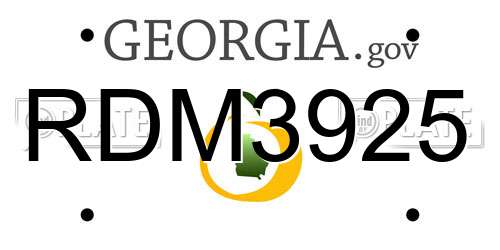 RDM3925 Georgia License Plate
