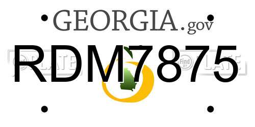 RDM7875 Georgia License Plate