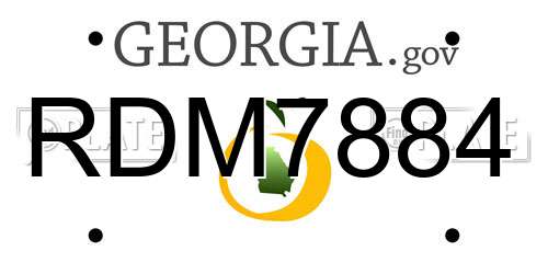 RDM7884 Georgia License Plate