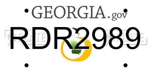 RDR2989 Georgia License Plate
