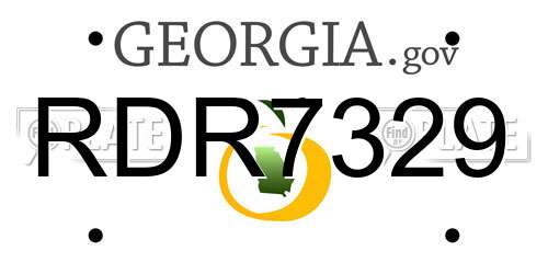 RDR7329 Georgia License Plate