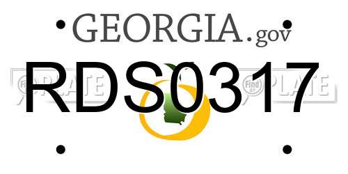 RDS0317 Georgia License Plate