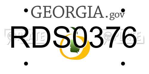RDS0376 Georgia License Plate