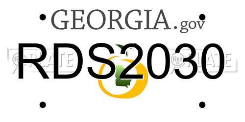 RDS2030 Georgia License Plate