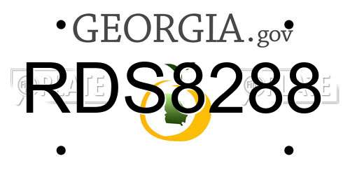 RDS8288 Georgia License Plate