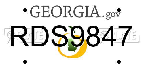 RDS9847 Georgia License Plate