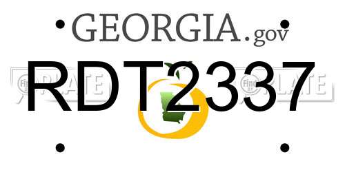 RDT2337 Georgia License Plate