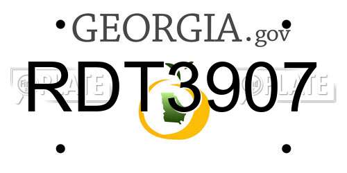 RDT3907 Georgia License Plate