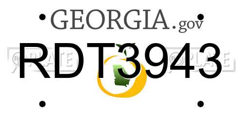 RDT3943 Georgia License Plate