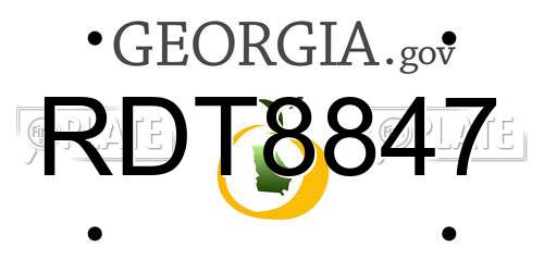 RDT8847 Georgia License Plate
