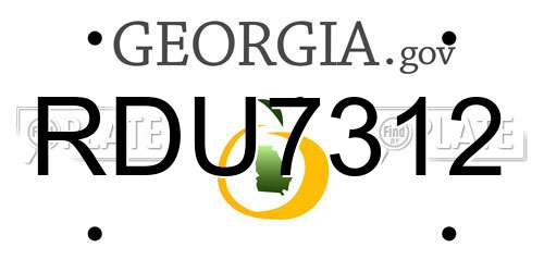 RDU7312 Georgia License Plate