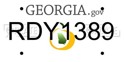 RDY1389 Georgia License Plate