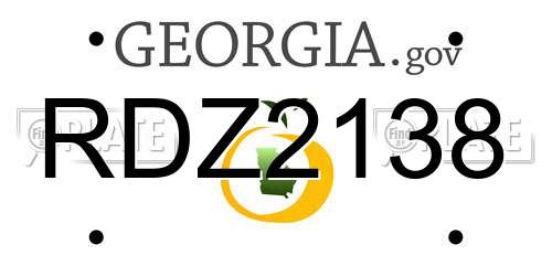 RDZ2138 Georgia License Plate