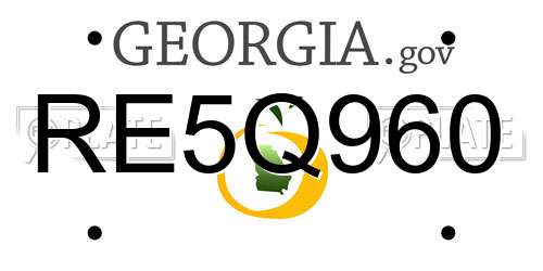 RE5Q960 Georgia License Plate