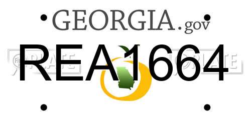 REA1664 Georgia License Plate