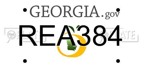 REA384 Georgia License Plate