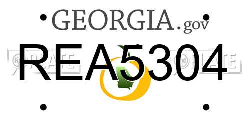 REA5304 Georgia License Plate