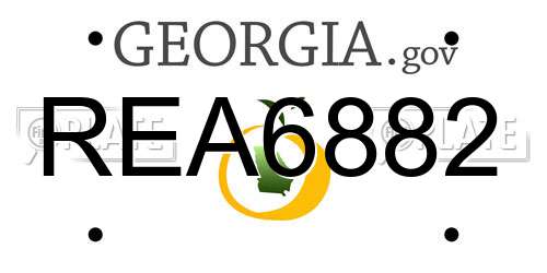 REA6882 Georgia License Plate