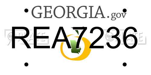 REA7236 Georgia License Plate