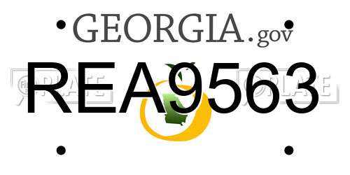 REA9563 Georgia License Plate