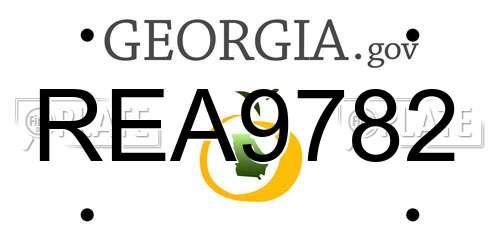 REA9782 Georgia License Plate