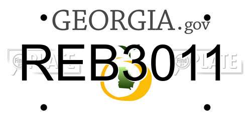 REB3011 Georgia License Plate