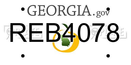 REB4078 Georgia License Plate