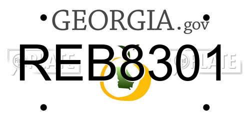 REB8301 Georgia License Plate