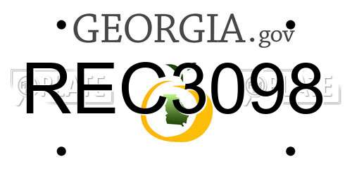 REC3098 Georgia License Plate