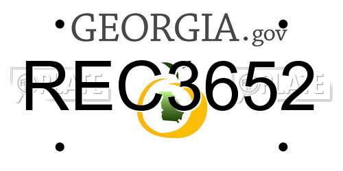 REC3652 Georgia License Plate