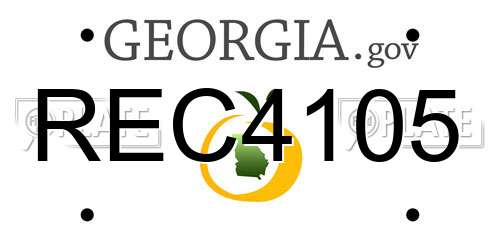 REC4105 Georgia License Plate