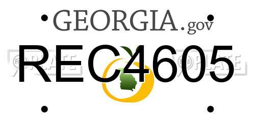 REC4605 Georgia License Plate
