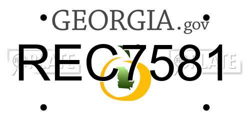 REC7581 Georgia License Plate