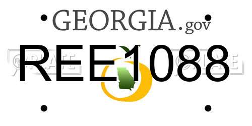 REE1088 Georgia License Plate