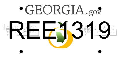 REE1319 Georgia License Plate