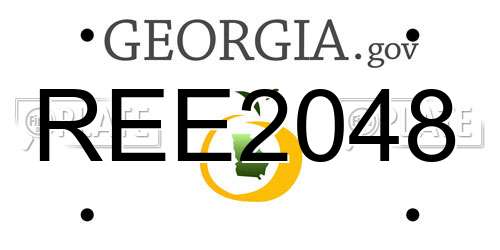 REE2048 Georgia License Plate